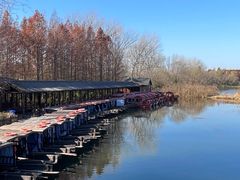 -溱湖国家湿地公园