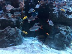 -成都浩海立方海洋公园