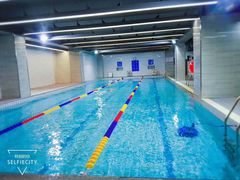 -金吉鸟健身游泳