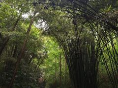 -凤栖山