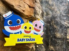 -上海海昌海洋公园