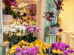 -溪岸路花鸟市场