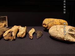 -北京周口店北京人遗址博物馆