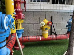 -金豆子幼稚园