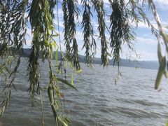 -东钱湖小普陀景区