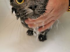 -喵汪宠物生活馆(涞坊路店)