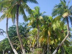 -白沙门生态公园