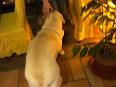 -朕悦鹧鸪饭私房菜