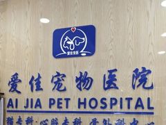 -爱佳宠物中心医院24H·CT·骨外科·猫专科(瑶海万达店)