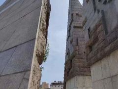 -桃花堤公园