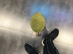 托曼尼榴莲-水果天空(东葛店)