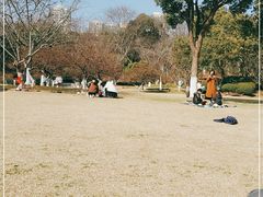 -青枫公园