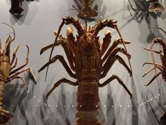 -贝林大翅鲸简餐厅(国家海洋博物馆店)