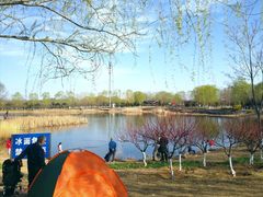 -永定河休闲森林公园