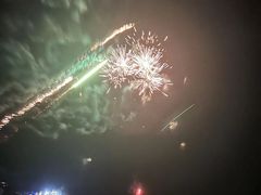 -东郊椰林