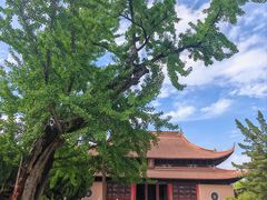 -苏州文庙(姑苏区)