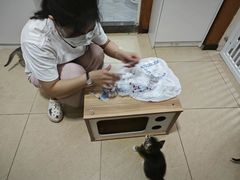 -达爱动物医院·犬猫分区·CT·复杂眼科(远洋山水分院)