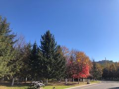 -长春世界雕塑园冰雪艺术天地