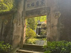 -十八棵（老龙井）御茶园(老龙井店)