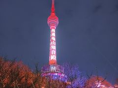 -龟山风景区-龟山电视塔