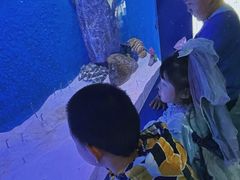 -厦门海底世界