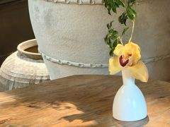 -自由生长植物工作室(深港花卉中心店)