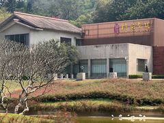 -广州雕塑公园