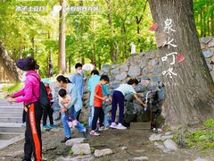 -阳台山自然风景区