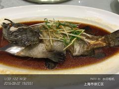 -宝燕壹号(徐汇店)