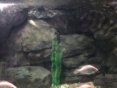 -苏州海洋馆