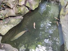 -青青世界