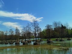 -合肥生态公园