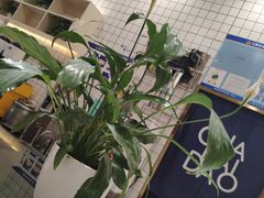 -茶百道(春晖路店)