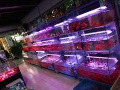-苏州艺都古玩花鸟市场
