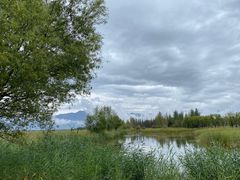 -野鸭湖国家湿地公园