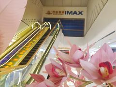 -万达广场(龙湖店)