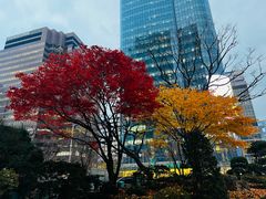 -乐天免税店(明洞店)