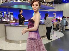 -武汉杜莎夫人蜡像馆