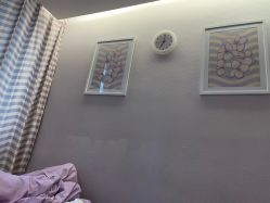 -SILKTONE诗丽堂美容