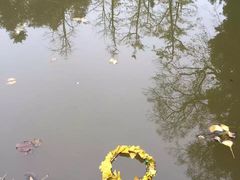 -南雄冯屋银杏山庄