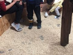 -昆明大悦城未来动物城(螺蛳湾中心店)
