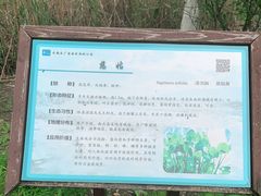 -长广溪湿地公园