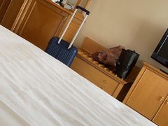 -南京维景国际大酒店(南京博物院店)