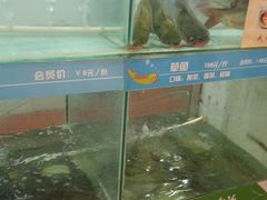 水产区-李二鲜鱼(水晶店)