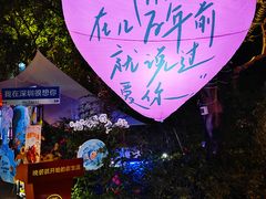 -胡桃里音乐酒馆(华侨城创意园店)