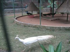 -广东茂名森林公园