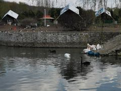 -哈尔滨北方森林动物园