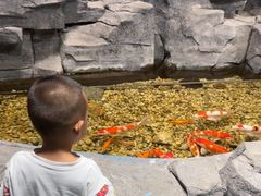 -嘉兴海底世界