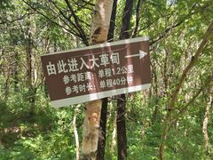 -白草畔自然风景区