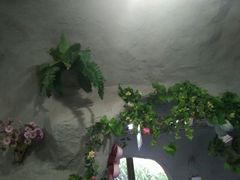 -深圳少年儿童图书馆